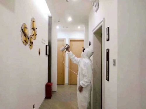 關于除甲醛的幾個真相，你不得不知！